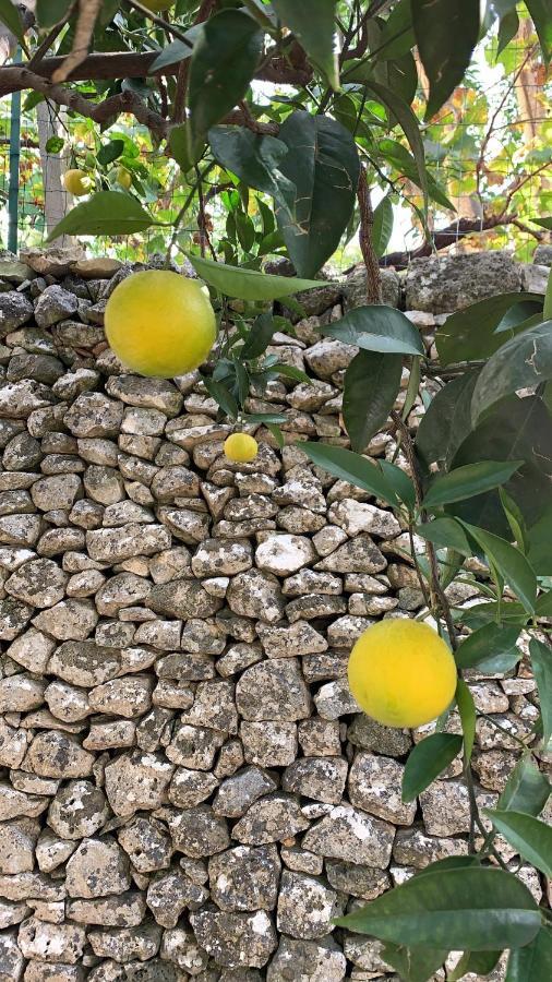 Apartamento Dimora Le Zagare Ostuni Exterior foto