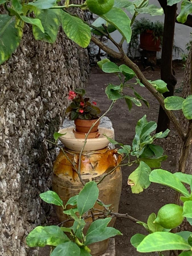 Apartamento Dimora Le Zagare Ostuni Exterior foto