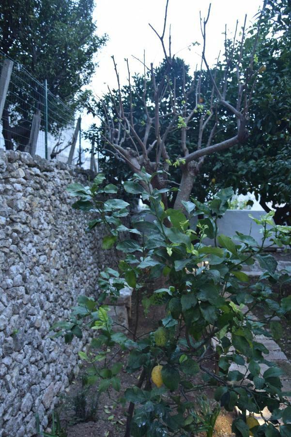 Apartamento Dimora Le Zagare Ostuni Exterior foto
